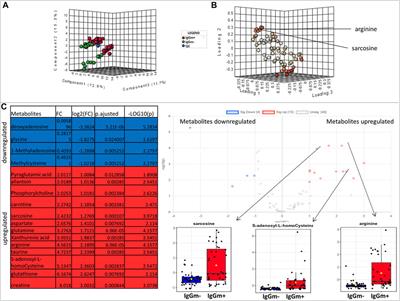 An Altered Metabolism in Leukocytes Showing in vitro igG Memory From SARS-CoV-2-Infected Patients